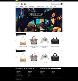 歐美外貿(mào)在線電子商務(wù)網(wǎng)站設(shè)計