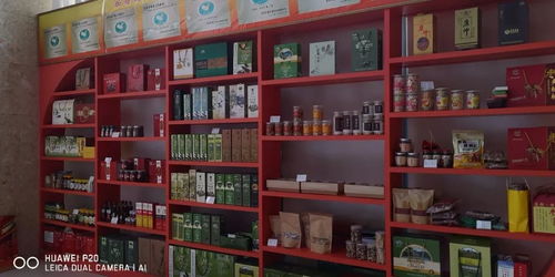 2018年武都區(qū)電子商務(wù)亮點工作 大力推進(jìn)貧困地區(qū)農(nóng)產(chǎn)品上行