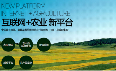 1700億 農(nóng)村電商市場很大