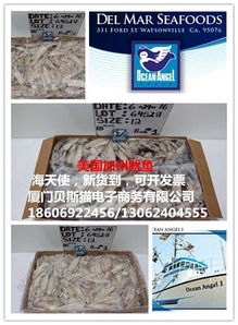 美國加州魷魚與海天使 電子商務(wù)的新藍(lán)海